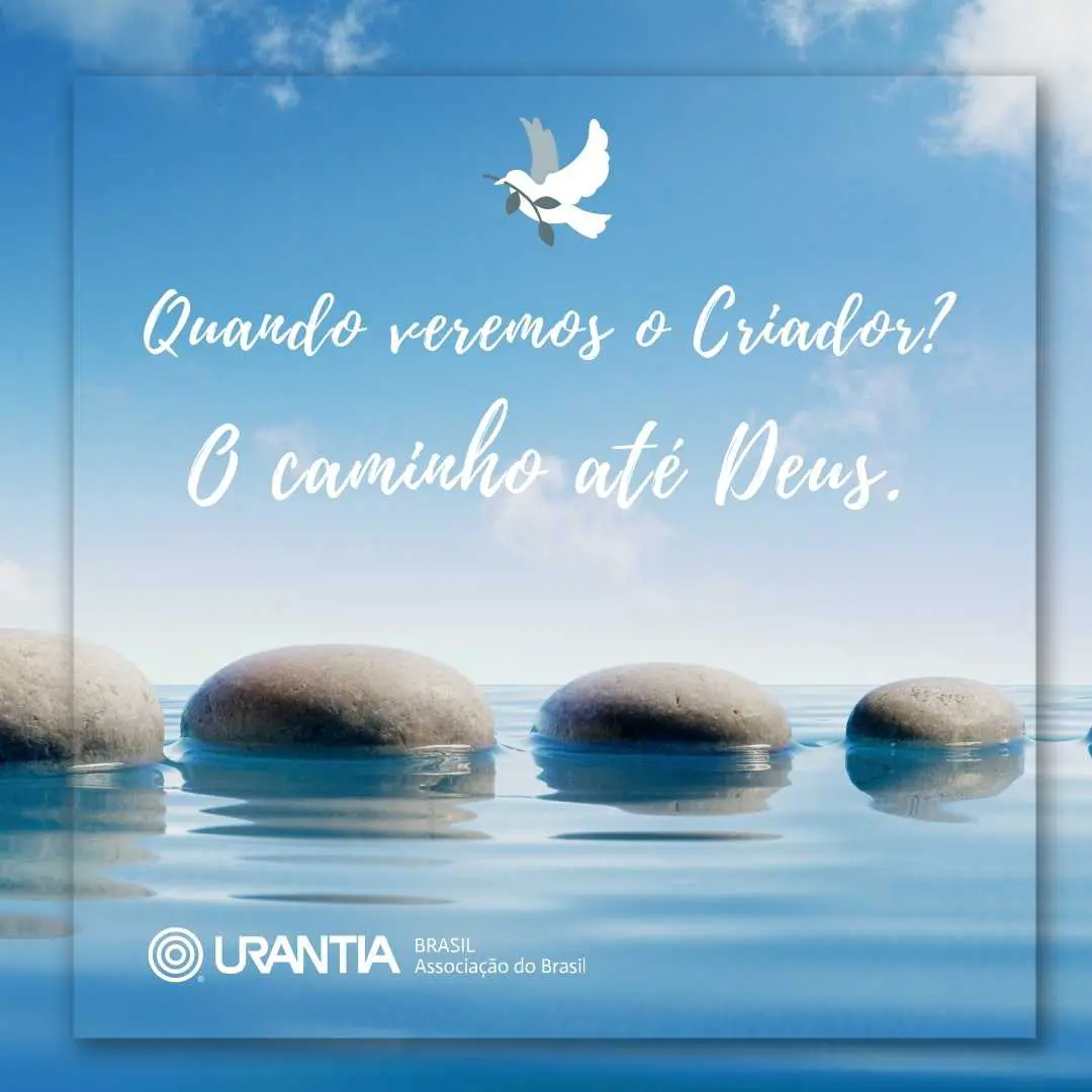Qual-e-o-proposito-da-vida-2.jpg.webp 